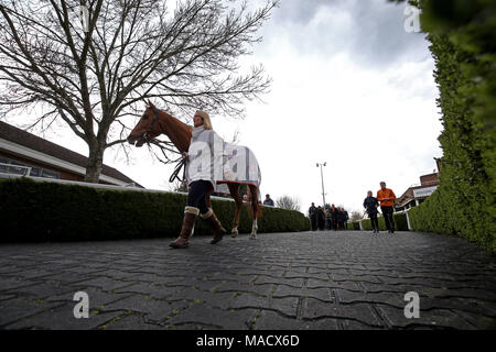 Allgemeine Ansicht von eddystone Rock führen in die Parade Ring vor dem streichholzbriefchen Wetten Podcast Rosebery Handicap während der Ostern Spaß für die ganze Familie Tag in Kempton Park Racecourse. PRESS ASSOCIATION Foto. Bild Datum: Samstag, März 31, 2018. Siehe PA Geschichte RACING Kempton. Photo Credit: Steven Paston/PA-Kabel Stockfoto