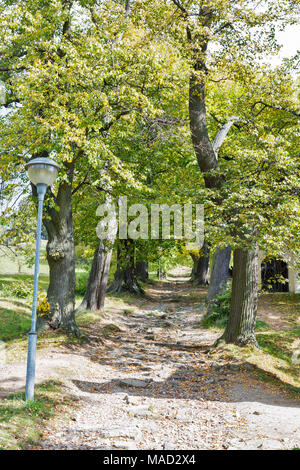 Alte Stein leere Straße zum Kalvarienberg in Banska Stiavnica, Slowakei. Stockfoto