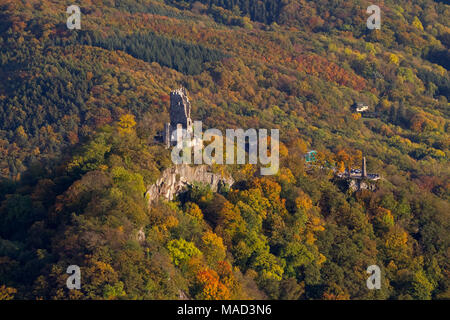 Luftaufnahme, Herbst am Rhein, Dragon rock, sieben Gebirge, Königswinter, Rheinland, Nordrhein-Westfalen, Deutschland, Europa, Vögel-Augen-blick, Antenne Stockfoto