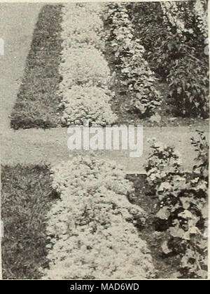 . Dreer ist ein echter altmodischer Qualität Garten Buch für 1952: Ihren Garten schöner Produktiver angenehmer zu machen. Stockfoto