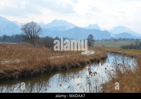 Landschaftlich schöne Landschaft mit einem Bach, Schilf und Bäume am Hopfensee, Bayern, Deutschland Stockfoto