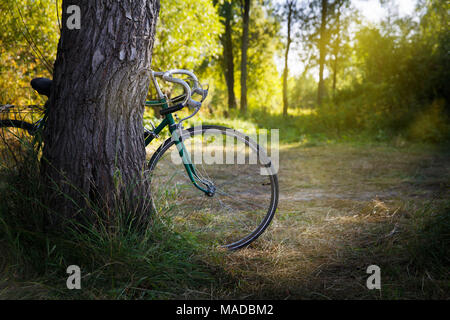 Alte vergessen grün Sport Bike im Wald Stockfoto