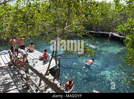 Touristen Baden in der Cenote Lagune Yalahau, Holbox, Quintana Roo, Mexiko Stockfoto