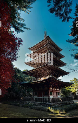 Lizenz und Drucke bei MaximImages.com - Daigoji-Tempel, Kyoto, Japan Reise Stock Foto Stockfoto