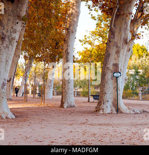 Jardín de la Isla en El Palacio Real de Aranjuez. Madrid. España Stockfoto