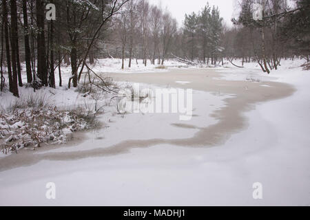 Eine verschneite Szene im neuen Wald am Mogshade Hill. Stockfoto