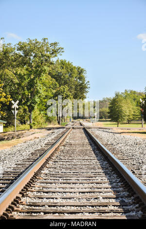 Gerade Schienen verschwinden iinto entfernten tress Stockfoto