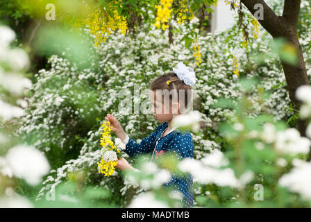 Schöne Mädchen sammelt Blumenstrauß unter blühenden Vegetation im Frühjahr Stockfoto