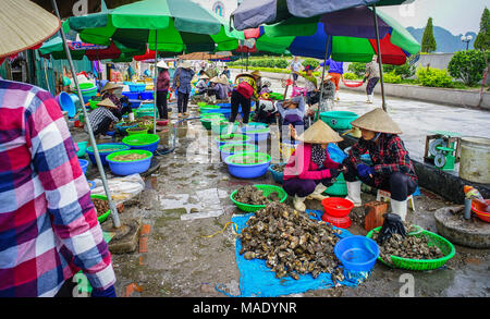 Ha Long, Vietnam - 23. Mai 2016. Angeln in Ha Long, Vietnam. Ha Long ist die Hauptstadt und 1st-class provinziellen Stadt der Provinz Quang Ninh, Stockfoto