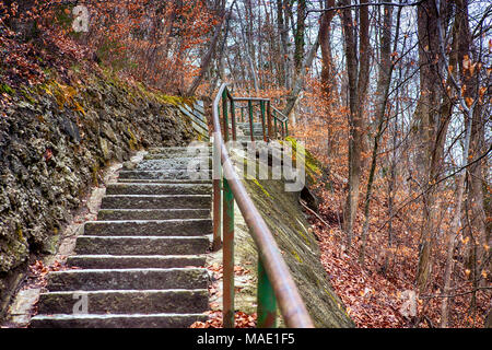 Steinstufen hinauf in idyllischer Wald Stockfoto