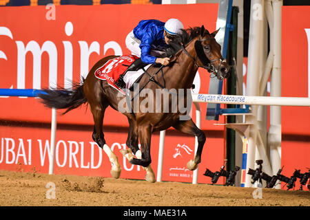 Dubai, VAE, 31. März 2018. Thunder Schnee, geritten von Jockey Christophe Soumilloin gewinnt die Dubai World Cup 2018 für Godolphin. Dies ist Trainer Saeed Bin Suroor der achte Dubai World Cup Sieger Credit: Feroz Khan/Alamy leben Nachrichten Stockfoto