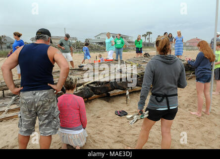 März 30, 2018-Ponte Vedra Beach, Florida, United States - Neugierige Zuschauer sammeln ein Schiffswrack, das am 28. März 2018 nach dem Landgang aus Ponte Vedra Beach in Florida gewaschen entdeckt wurde. Ein Team aus der St. Augustine Leuchtturm archäologische Maritime Programm ist der Prüfung und Messung der 48-Fuß-langen hölzernen Überreste, die geglaubt werden, von einem Handelsschiff, dass Ladung entlang der Atlantikküste der USA während Anfang bis Mitte der 1800er transportiert zu haben. (Paul Hennessy/Alamy) Stockfoto