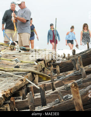 März 30, 2018-Ponte Vedra Beach, Florida, United States - Holz Nägel trunnels genannt werden gesehen, ragen aus der futtocks, oder gebogene riblike Hölzer einer Havarie, die am 28. März 2018 nach dem Landgang aus Ponte Vedra Beach in Florida gewaschen entdeckt wurde. Ein Team aus der St. Augustine Leuchtturm archäologische Maritime Programm ist der Prüfung und Messung der 48-Fuß-langen hölzernen Überreste, die geglaubt werden, von einem Handelsschiff, dass Ladung entlang der Atlantikküste der USA während Anfang bis Mitte der 1800er transportiert zu haben. (Paul Hennessy/Alamy) Stockfoto