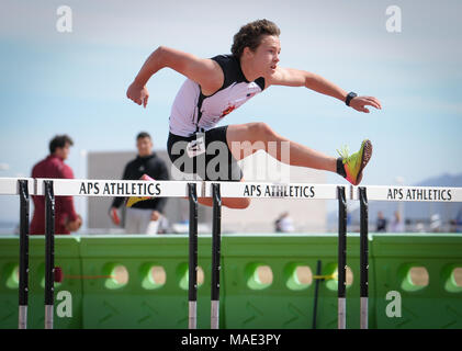 Albuquerque, New Mexico, USA. 31 Mär, 2018. Der Vulkan Vista SAMUEL KRESS konkurriert in den 110 Meter Hürden während APS von Albuquerque Einladungs Leichtathletik Meeting am Nusenda Gemeinschaft Stadion. Credit: Marla Brose/Albuquerque Journal/ZUMA Draht/Alamy leben Nachrichten Stockfoto