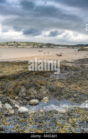 UK Wetter - Wanderer genießen bedecktem Ufer in Appledore in North Devon bei Ebbe am Samstag während der Ostern Wochenende. Credit: Terry Mathews/Alamy leben Nachrichten Stockfoto