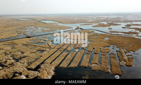 Xiongan neuen Bereich. 1 Apr, 2017. Dieses Luftbild am 29. März 2018 zeigt die Baiyangdian See in Xiongan neuer Bereich, im Norden der chinesischen Provinz Hebei. Xiongan neuer Bereich, am 1. April 2017 gegründet, ist es der dritte neue Bereich von nationaler Bedeutung nach der Sonderwirtschaftszone Shenzhen und Shanghai Pudong New Area. China soll es als Low-carbon, intelligent, lebenswerte und einflussreichste Stadt, in der Mensch und Natur in Harmonie zu errichten. Credit: Mu Yu/Xinhua/Alamy Leben Nachrichten Quelle: Xinhua/Alamy leben Nachrichten Stockfoto