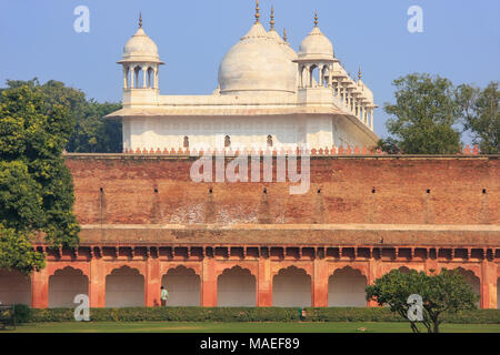 Moti Masjid (Perle Moschee) in Fort Agra, Uttar Pradesh, Indien. Das Fort wurde in erster Linie als eine militärische Struktur gebaut, aber wurde später ein Upgrade auf eine palac Stockfoto