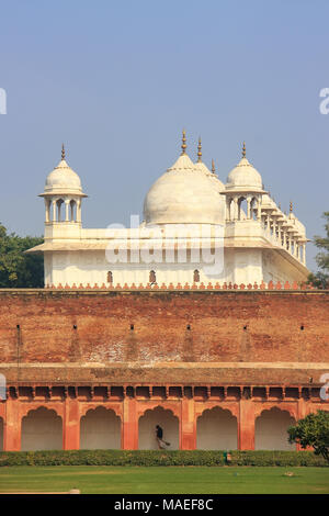 Moti Masjid (Perle Moschee) in Fort Agra, Uttar Pradesh, Indien. Das Fort wurde in erster Linie als eine militärische Struktur gebaut, aber wurde später ein Upgrade auf eine palac Stockfoto