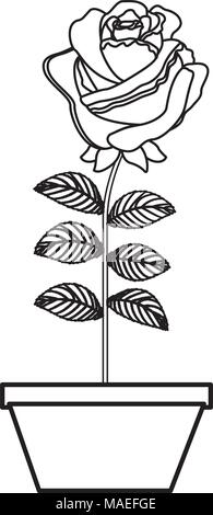 Blume Rose in einem Topf Dekoration Symbol Vektor illustration Stock Vektor