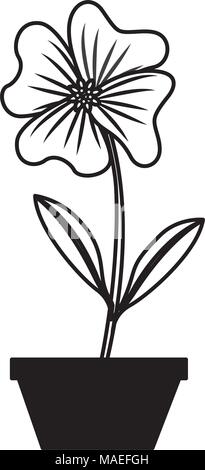 Blume Immergrün im Topf Dekoration Symbol Vektor illustration Stock Vektor