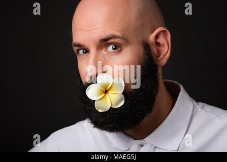 Portrait des Kahlen unrasierten Mann mit Bart und Schnurrbart mit Magnolienblüte im Mund auf dunklem Hintergrund Stockfoto