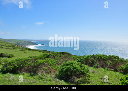 Pazifikküste und Tomale Point Trail Stockfoto