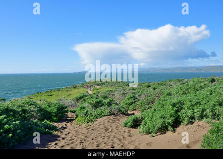 Pazifikküste und Tomale Point Trail Stockfoto