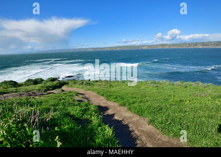 Pazifikküste und Tomale Point Trail Stockfoto