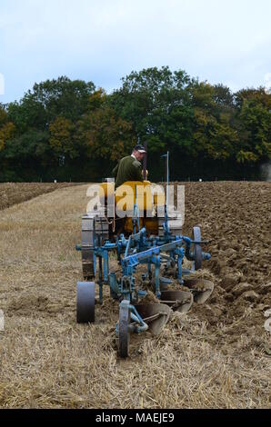 Pflügen Spiel in Burgess Hill in West Sussex, England statt. Stockfoto
