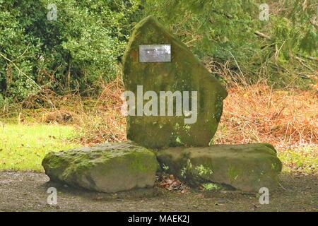 Die chiltern Gipfel" Plakette auf Felsen bei Wendover Woods, Wendover, Buckinghamshire, Großbritannien Stockfoto