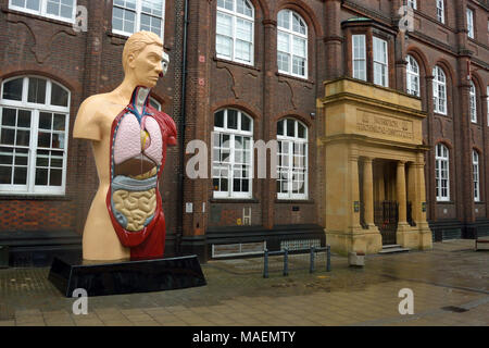 Damien Hirst Skulptur 'Lied' auf temporäre Anzeige in St. Georges Street außerhalb der Norwich Universität der Künste, Norwich, Norfolk, Großbritannien Stockfoto