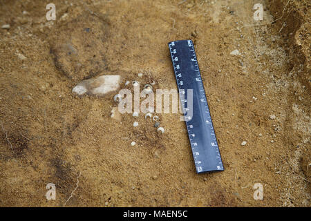 Bunte Glasperlen im Vergleich mit der Skala des Herrschers. Einen echten archäologischen aus dem Grab der frühen Eisenzeit finden, die kulai Kultur Stockfoto