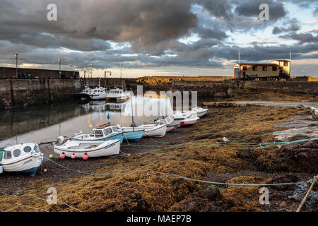 Abb Hafen von St, Berwickshire, Schottland Stockfoto