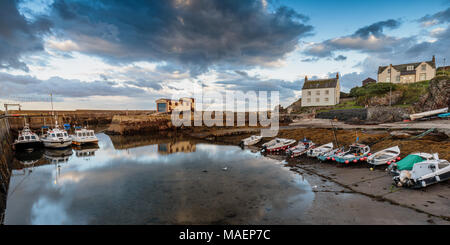 Abb Hafen von St, Berwickshire, Schottland Stockfoto