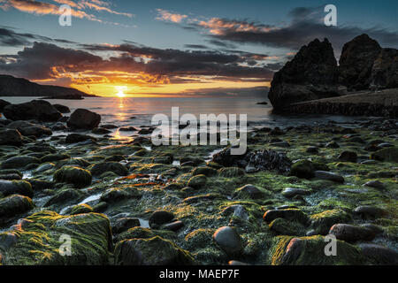 Pettico Wick, St Abb's Head Halbinsel, East Lothian, Schottland Stockfoto