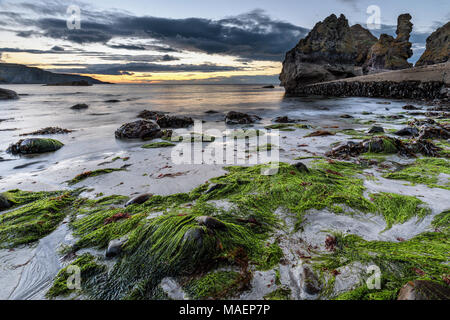 Pettico Wick, St Abb's Head Halbinsel, East Lothian, Schottland Stockfoto