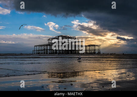 Ebbe in der Brighton West Pier Stockfoto