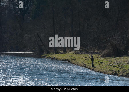 Lachsangeln im Frühjahr auf dem Fluss Teith, Perthshire, Schottland Stockfoto