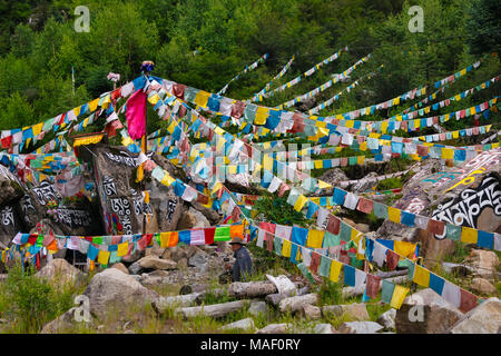 Buddhistisches Gebet Worte auf Felsen gemalt und betet Fahnen durch den Fluss, Tagong, Western Sichuan, China Stockfoto