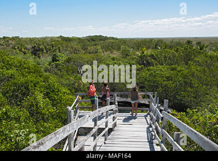 Touristen auf der Aussichtsplattform über der Cenote Lagune Yalahau, Holbox, Quintana Roo, Mexiko Stockfoto