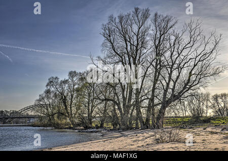 Ein kleiner Strand, gesäumt von Bäumen am Ufer des Flusses Waal, in der Nähe der Stadt Nijmegen, Niederlande Stockfoto