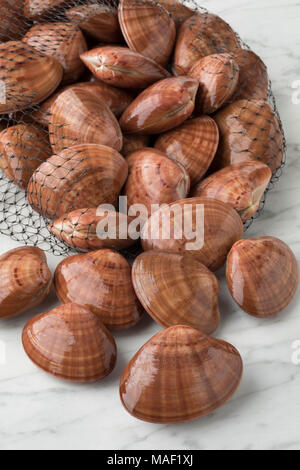 Open Net Tasche mit frischen, rohen geschlossen glatte Venusmuscheln Stockfoto