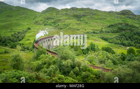 Glenfinnan Eisenbahnviadukt mit dem Jacobite Steam, in Lochaber, der die Highlands von Schottland. Stockfoto