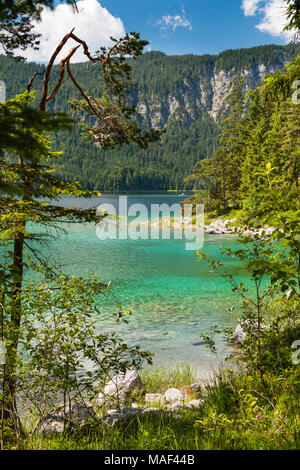 Eibsee mit Türkis in der Nähe der Zugspitze in Garmisch-Partenkirchen, Deutschland im Sommer. Stockfoto