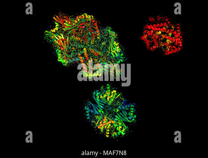 3D-Modell eines Proteinmoleküls. Die räumliche orientierte Struktur des Makromoleküls. Stockfoto