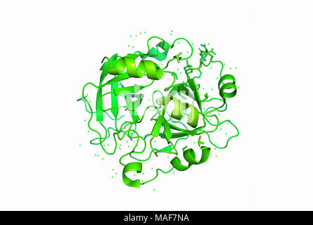 3D-Modell eines Proteinmoleküls. Die räumliche orientierte Struktur des Makromoleküls. Stockfoto