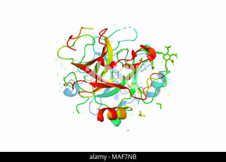 3D-Modell eines Proteinmoleküls. Die räumliche orientierte Struktur des Makromoleküls. Stockfoto