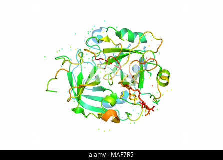 3D-Modell eines Proteinmoleküls. Die räumliche orientierte Struktur des Makromoleküls. Stockfoto