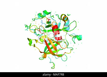 3D-Modell eines Proteinmoleküls. Die räumliche orientierte Struktur des Makromoleküls. Stockfoto