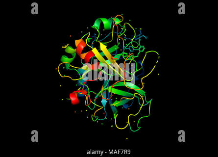 3D-Modell eines Proteinmoleküls. Die räumliche orientierte Struktur des Makromoleküls. Stockfoto